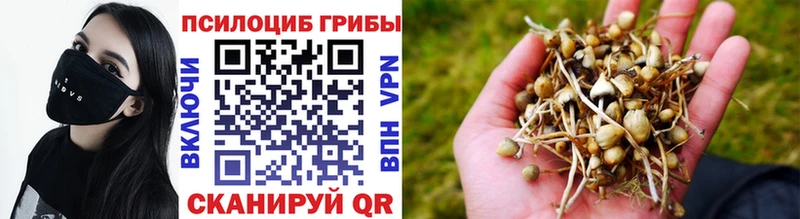гидра ССЫЛКА  Нурлат  Псилоцибиновые грибы мицелий  как найти закладки 
